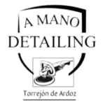 logo a mano detailing removebg preview
